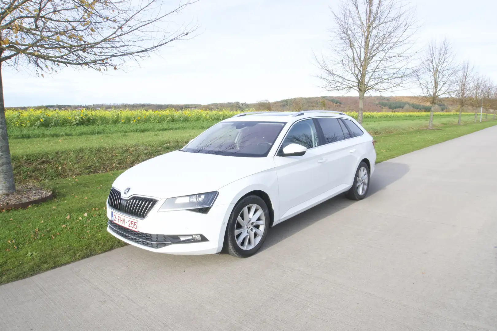 Skoda Superb Superb SW 1.8 TSI Sportline DSG Wit - 1
