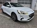 Ford Focus Focus Titanium/Kamera/Spurhalte/LED-Xenon Weiß - thumbnail 19