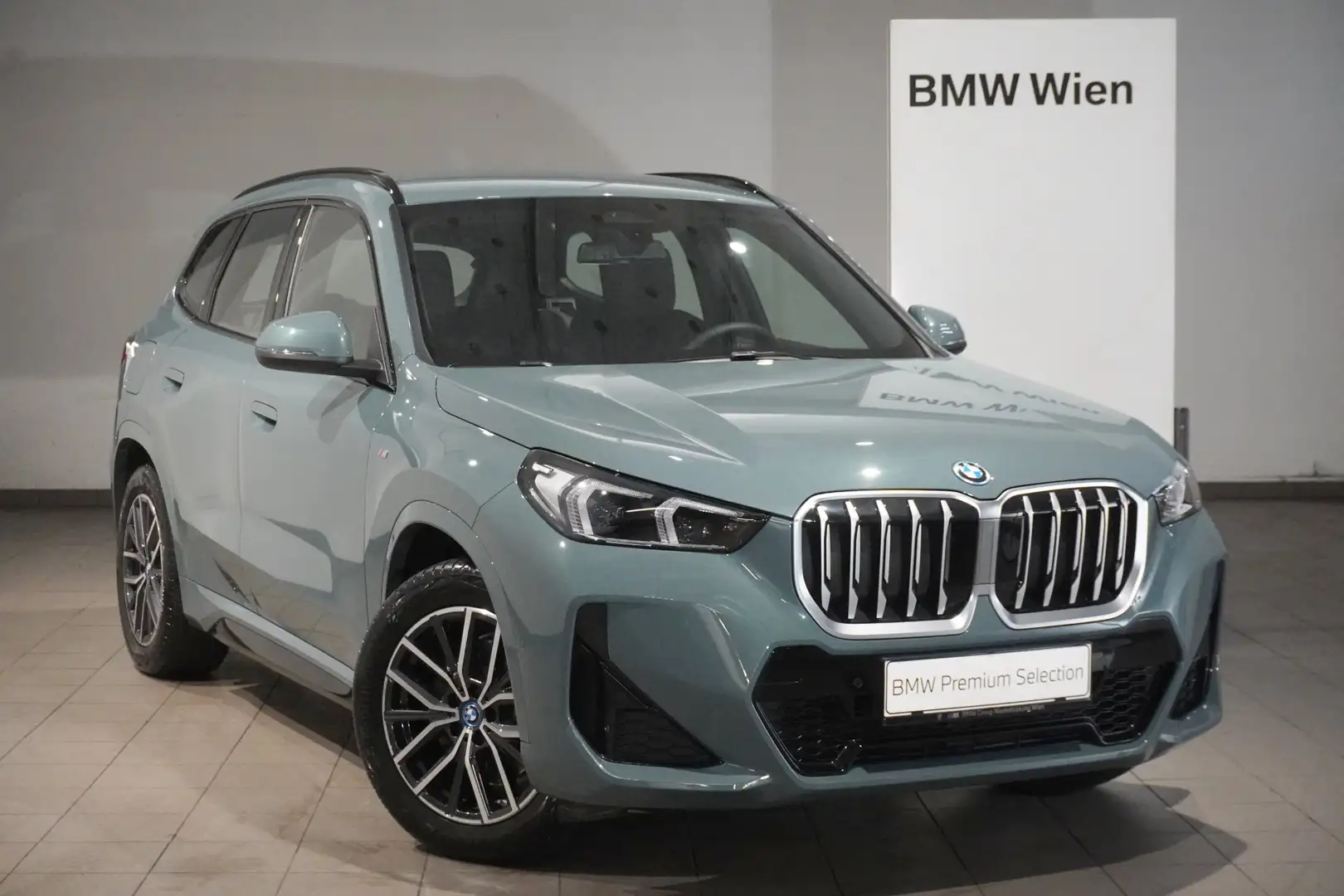 BMW X1 xDrive25e Grün - 1