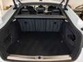 Audi A5 S line 40 TFSI quattro S tronic ACC Weiß - thumbnail 8