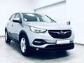 Opel Grandland X Business Edition * 1.H * R-KAM * Grau - thumbnail 16