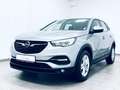 Opel Grandland X Business Edition * 1.H * R-KAM * Grau - thumbnail 18