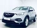 Opel Grandland X Business Edition * 1.H * R-KAM * Grau - thumbnail 15