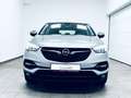 Opel Grandland X Business Edition * 1.H * R-KAM * Grau - thumbnail 17