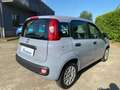 Fiat Panda 1.0  S&S Hybrid OK NEOPATENTATI Grijs - thumbnail 10