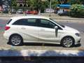 Mercedes-Benz B 180 B 180 cdi be Executive Bianco - thumbnail 8