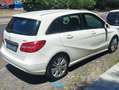 Mercedes-Benz B 180 B 180 cdi be Executive Bianco - thumbnail 9