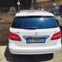 Mercedes-Benz B 180 B 180 cdi be Executive Bianco - thumbnail 4