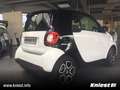 smart forTwo Passion+Twinamic+Cool&Audio+Pano+Komfort-P White - thumbnail 7