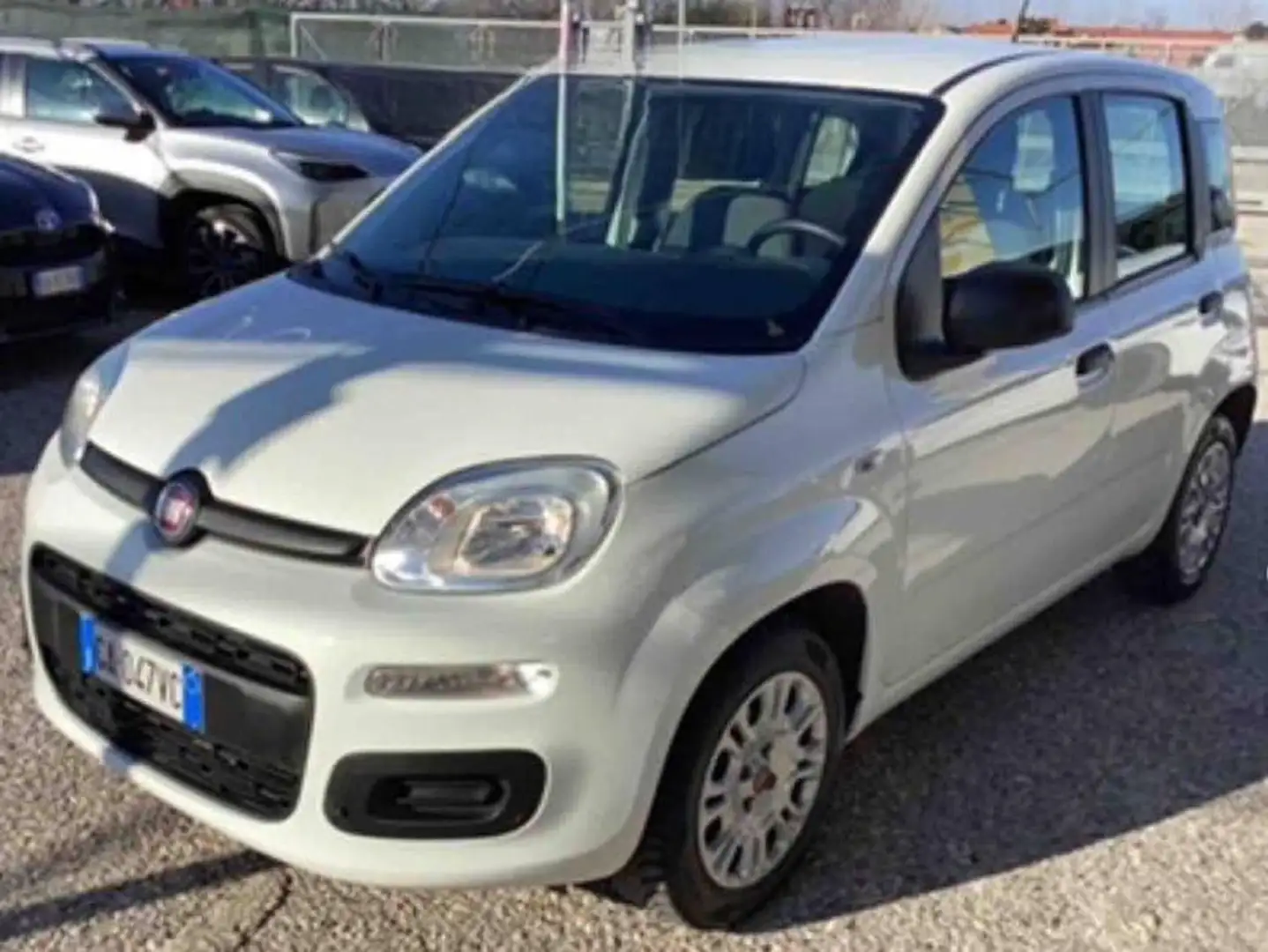 Fiat Panda 1.2 Easy Bianco - 1