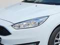Ford Focus 1,0 Eco Boost Business Blanc - thumbnail 5