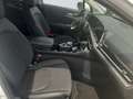 Kia Sportage 1.6 D AWD Spirit +360 Kamera +SHZ vo+hi Weiß - thumbnail 9