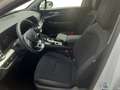 Kia Sportage 1.6 D AWD Spirit +360 Kamera +SHZ vo+hi Weiß - thumbnail 8