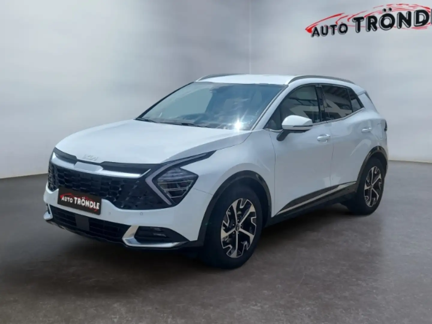 Kia Sportage 1.6 D AWD Spirit +360 Kamera +SHZ vo+hi Weiß - 1