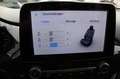 Ford Puma Titanium Massagesitze AHK Winterpaket Argent - thumbnail 12