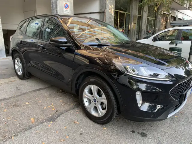 Ford Kuga Kuga 2.0 ecoblue mhev ST-Line 2wd 150cv