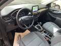 Ford Kuga Kuga 2.0 ecoblue mhev ST-Line 2wd 150cv - thumbnail 7