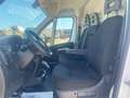 Fiat Ducato 35 2.2 Mjt 140Cv L3H2 PASSO LUNGO-TETTO ALTO Cargo Bianco - thumbnail 11