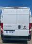 Fiat Ducato 35 2.2 Mjt 140Cv L3H2 PASSO LUNGO-TETTO ALTO Cargo Bianco - thumbnail 5