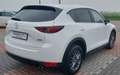 Mazda CX-5 2.2 Evolve awd 150cv auto White - thumbnail 4