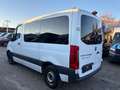 Mercedes-Benz Sprinter Tourer 214 CDI ,Automatik,1.Besitz,7Sit Weiß - thumbnail 6