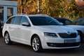 Skoda Octavia Combi Elegance Aut.|Bi-Xenon|Navi|ACC|BT Weiß - thumbnail 3