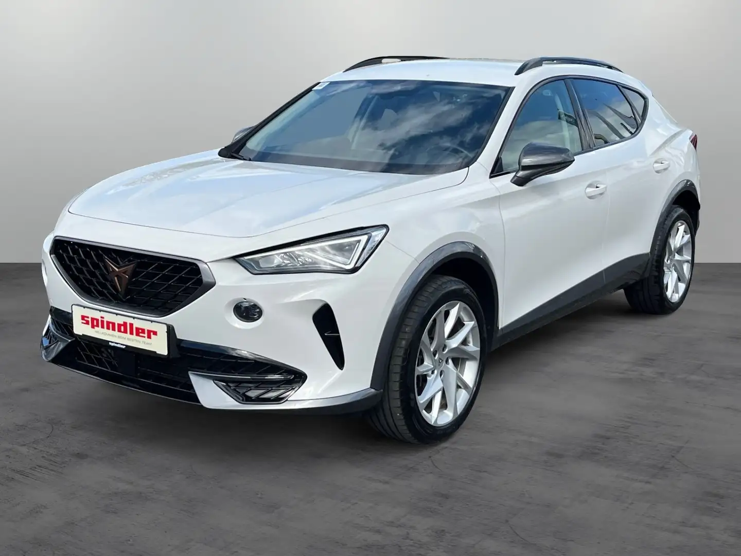 CUPRA Formentor 2.0TDI 4Drive DSG/ Navi, LED, AHK, RFK Weiß - 2