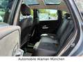 Mercedes-Benz B 200 d 8G-DTC AMG-Line / Navi / Leder / Panorama Grau - thumbnail 16