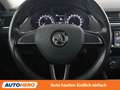 Skoda Octavia 1.6 TDI Ambition Grau - thumbnail 19