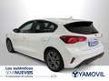 Ford Focus 1.0 Ecoboost MHEV ST-Line X 125 Blanco - thumbnail 5
