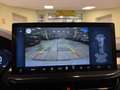 Ford Focus 1.0 Ecoboost MHEV ST-Line X 125 Blanco - thumbnail 20