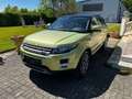 Land Rover Range Rover Evoque Range Rover Evoque Prestige 2,0 Si4 Aut. Prestige Grün - thumbnail 4