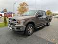 Ford F 150 XLT Crew Cab 4x4 5.0L V8 Gris - thumbnail 7
