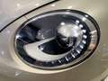 Volkswagen Beetle Cabrio 1.4 TSI R-Line DSG 150 Grau - thumbnail 6