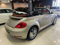 Volkswagen Beetle Cabrio 1.4 TSI R-Line DSG 150 Grau - thumbnail 37