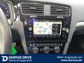 Volkswagen Golf Golf VII 1.6 TDI R-Line LED RFK App-Connect Blau - thumbnail 15