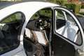 Citroen 2CV - thumbnail 8