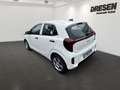 Kia Picanto EDITION 7 1.0 NAVI,KAMERA,DAB,KLIMA Blanc - thumbnail 4