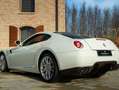 Ferrari 599 FERRARI 599 GTB FIORANO Blanco - thumbnail 15