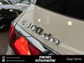 Mercedes-Benz E 300 E 300 de T Avantgarde Burm4D+AHK+Tonka+RüKamera Weiß - thumbnail 39