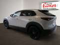 Mazda CX-30 2.5 G 140 Homura AT BESTPREIS - thumbnail 10