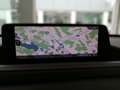 Mazda CX-30 2.5 G 140 Homura AT BESTPREIS - thumbnail 6