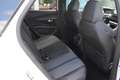 Peugeot 3008 Allure Pack CAM 18Z Keyl NAV Sunset CAM Weiß - thumbnail 10