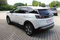 Peugeot 3008 Allure Pack CAM 18Z Keyl NAV Sunset CAM Weiß - thumbnail 15