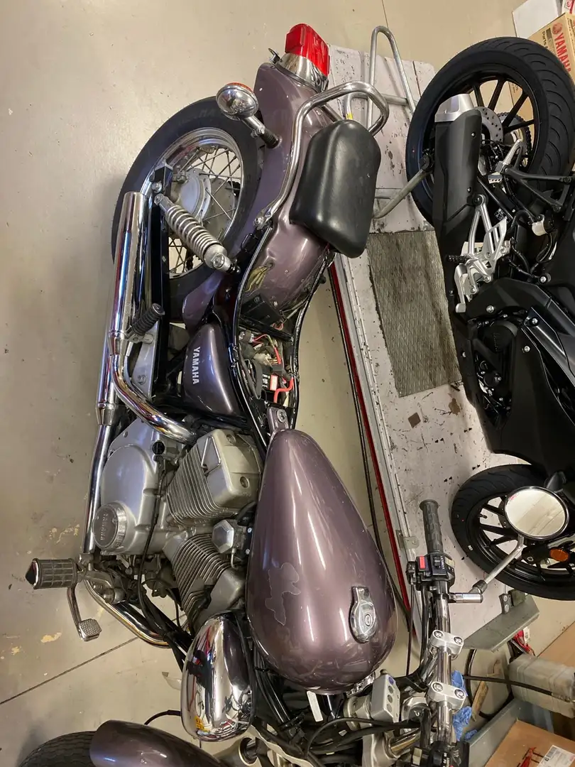 Yamaha XV 250 Burdeos - 2