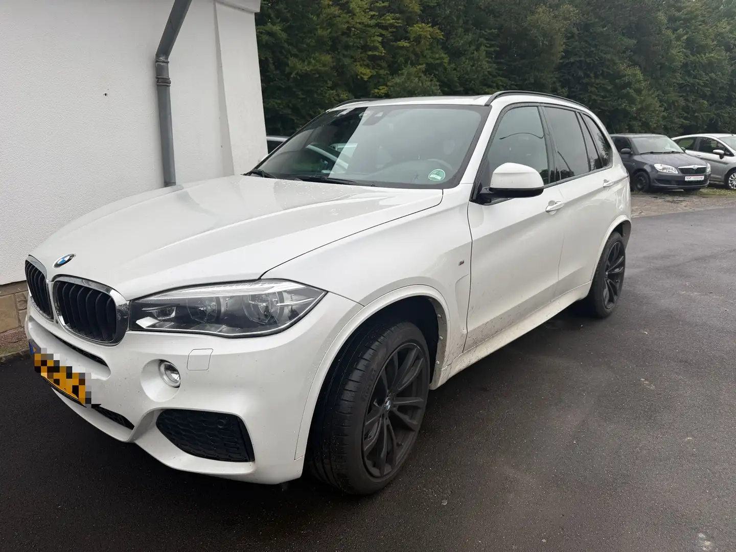 BMW X5 xDrive 30 d Weiß - 1