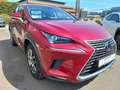 Lexus NX 300h Executive Rouge - thumbnail 4