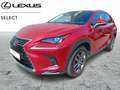 Lexus NX 300h Executive Rouge - thumbnail 1