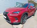 Lexus NX 300h Executive Rouge - thumbnail 14