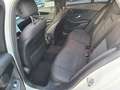 Mercedes-Benz C 180 Classe C 1.6 diesel Premium automatico anno 2020 Bianco - thumbnail 4